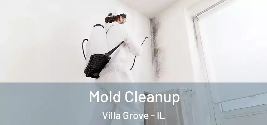  Mold Cleanup Villa Grove - IL
