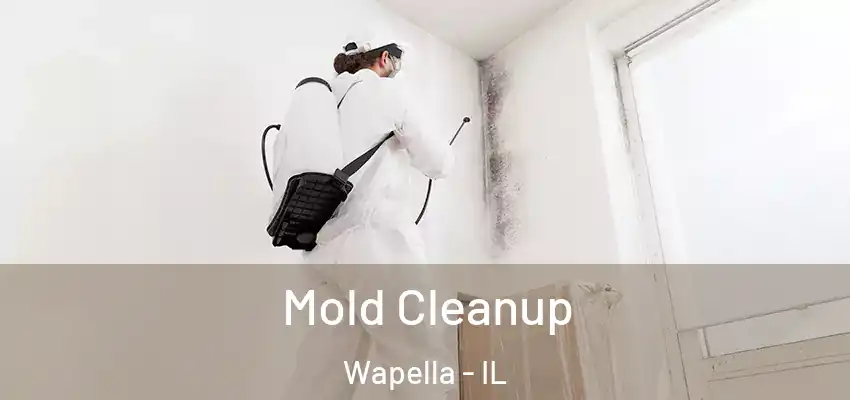  Mold Cleanup Wapella - IL