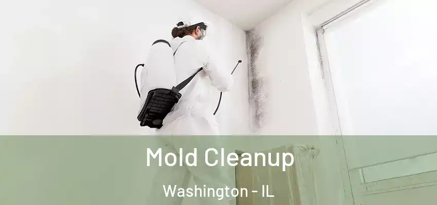  Mold Cleanup Washington - IL