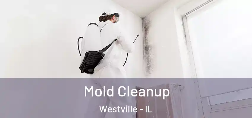  Mold Cleanup Westville - IL
