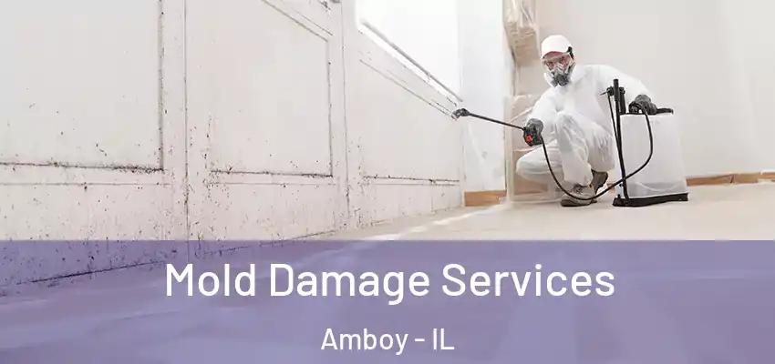  Mold Damage Services Amboy - IL