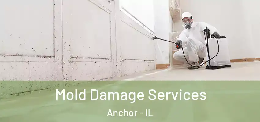  Mold Damage Services Anchor - IL