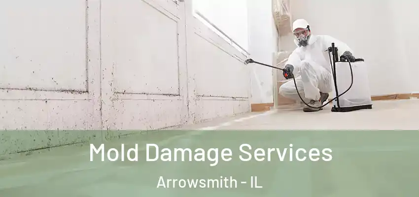  Mold Damage Services Arrowsmith - IL