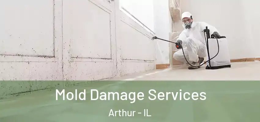  Mold Damage Services Arthur - IL