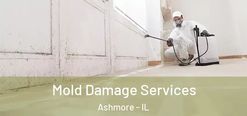  Mold Damage Services Ashmore - IL