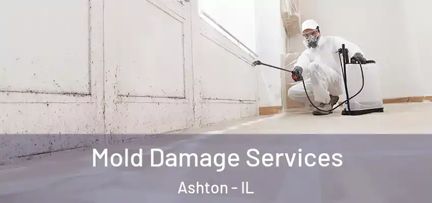  Mold Damage Services Ashton - IL