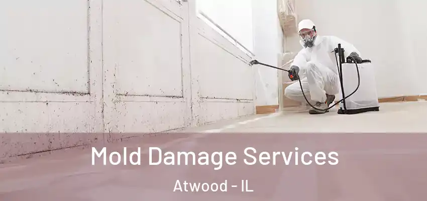  Mold Damage Services Atwood - IL