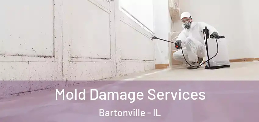 Mold Damage Services Bartonville - IL