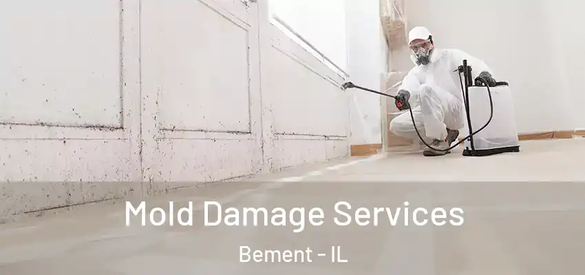  Mold Damage Services Bement - IL