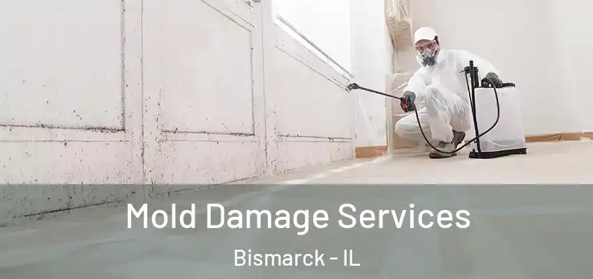  Mold Damage Services Bismarck - IL
