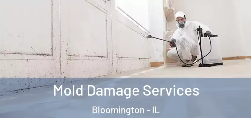  Mold Damage Services Bloomington - IL
