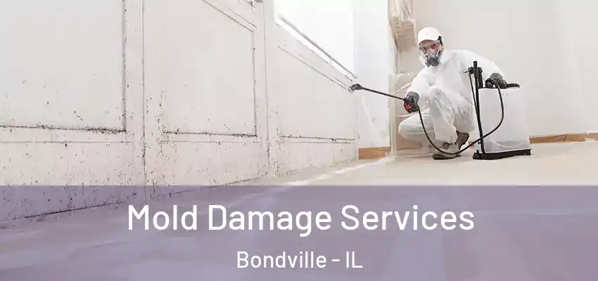  Mold Damage Services Bondville - IL