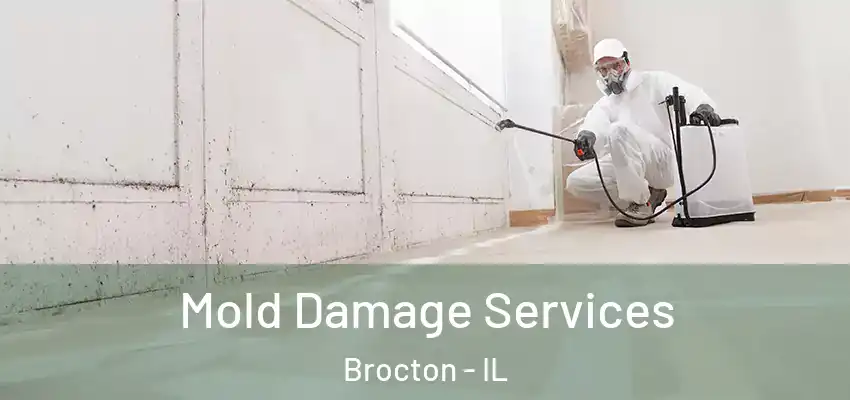  Mold Damage Services Brocton - IL