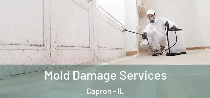  Mold Damage Services Capron - IL
