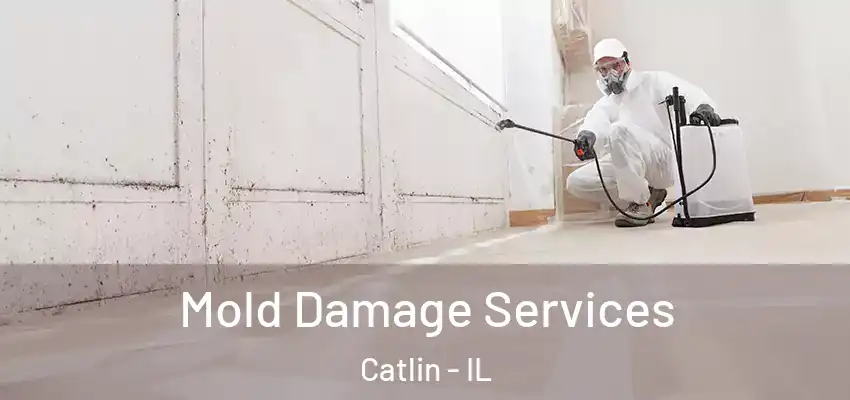  Mold Damage Services Catlin - IL
