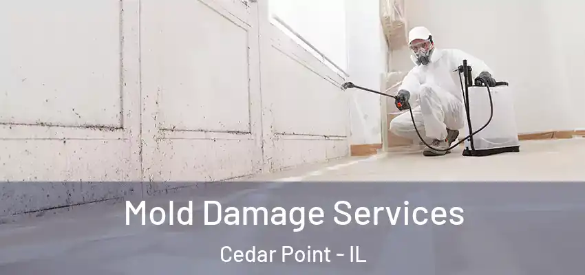 Mold Damage Services Cedar Point - IL