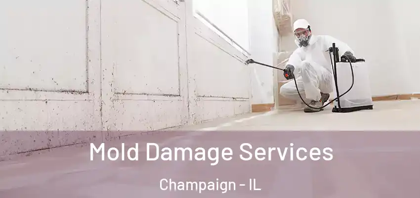  Mold Damage Services Champaign - IL
