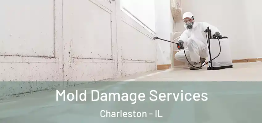  Mold Damage Services Charleston - IL