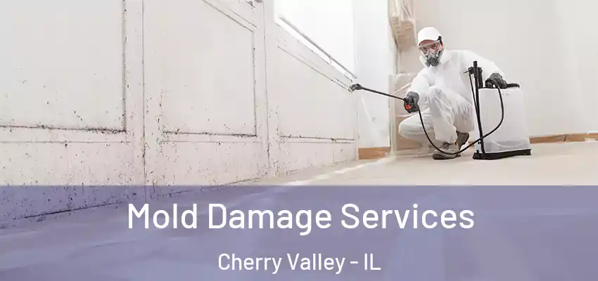  Mold Damage Services Cherry Valley - IL