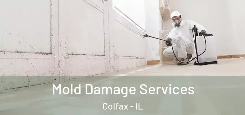  Mold Damage Services Colfax - IL