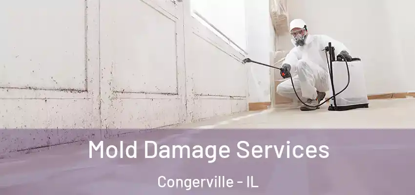  Mold Damage Services Congerville - IL