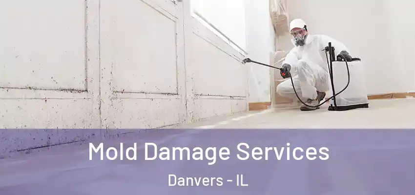  Mold Damage Services Danvers - IL