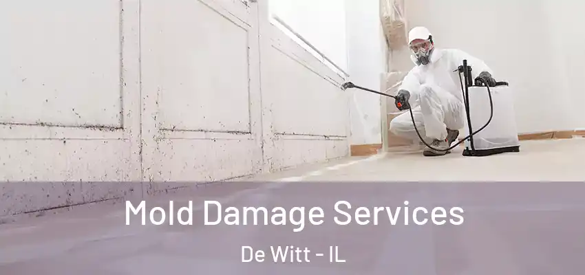 Mold Damage Services De Witt - IL