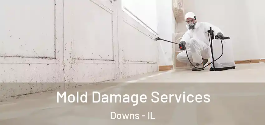  Mold Damage Services Downs - IL