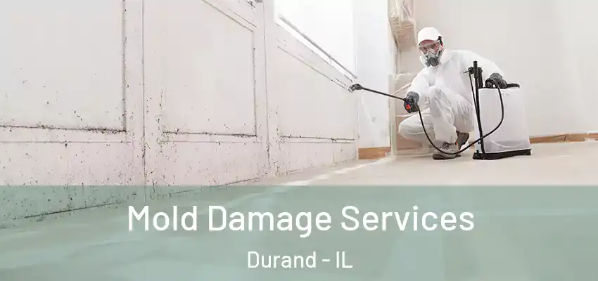  Mold Damage Services Durand - IL