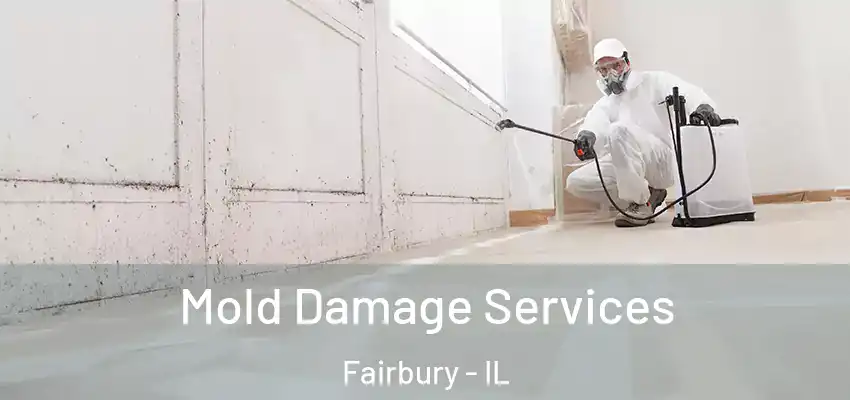  Mold Damage Services Fairbury - IL