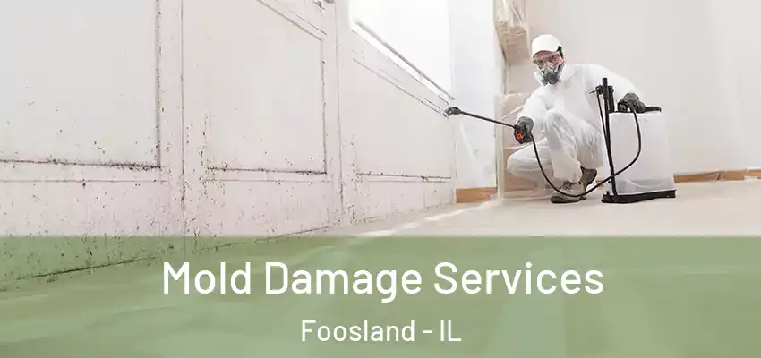 Mold Damage Services Foosland - IL