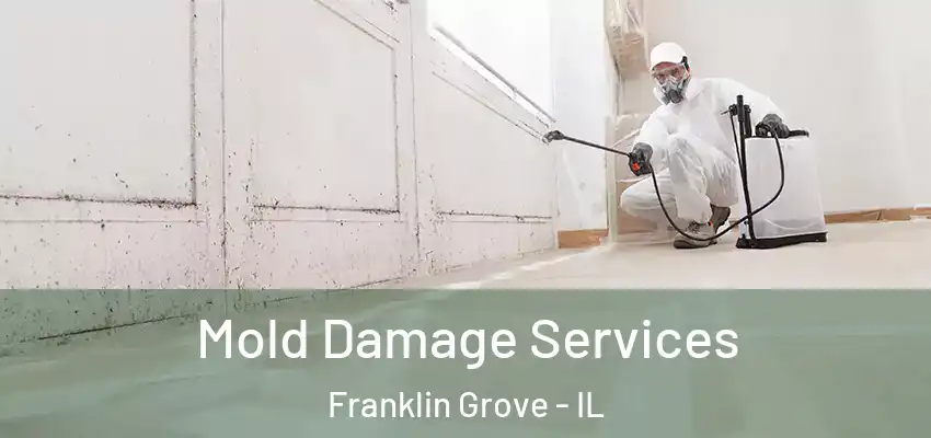  Mold Damage Services Franklin Grove - IL