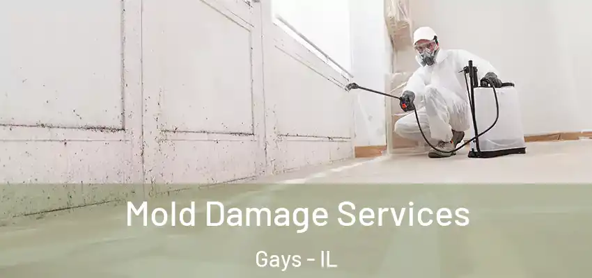  Mold Damage Services Gays - IL