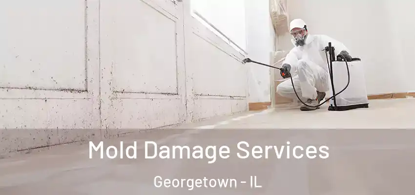  Mold Damage Services Georgetown - IL