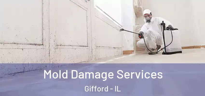 Mold Damage Services Gifford - IL