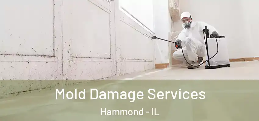  Mold Damage Services Hammond - IL
