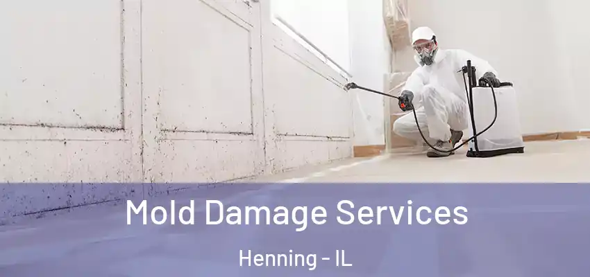  Mold Damage Services Henning - IL