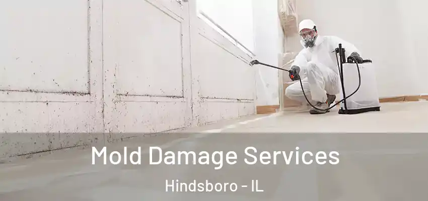  Mold Damage Services Hindsboro - IL