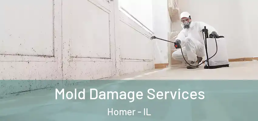  Mold Damage Services Homer - IL