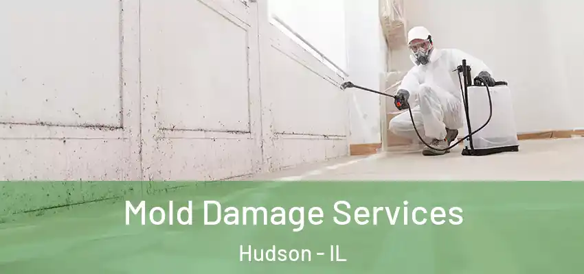  Mold Damage Services Hudson - IL