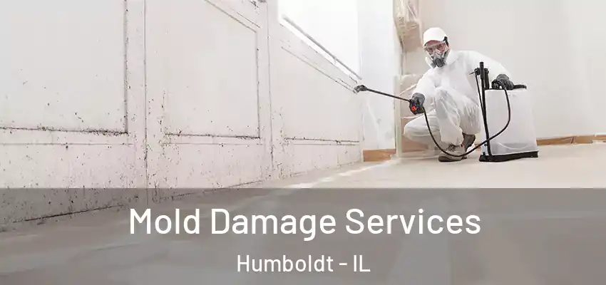 Mold Damage Services Humboldt - IL