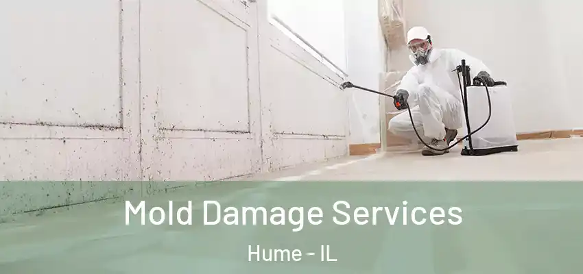  Mold Damage Services Hume - IL