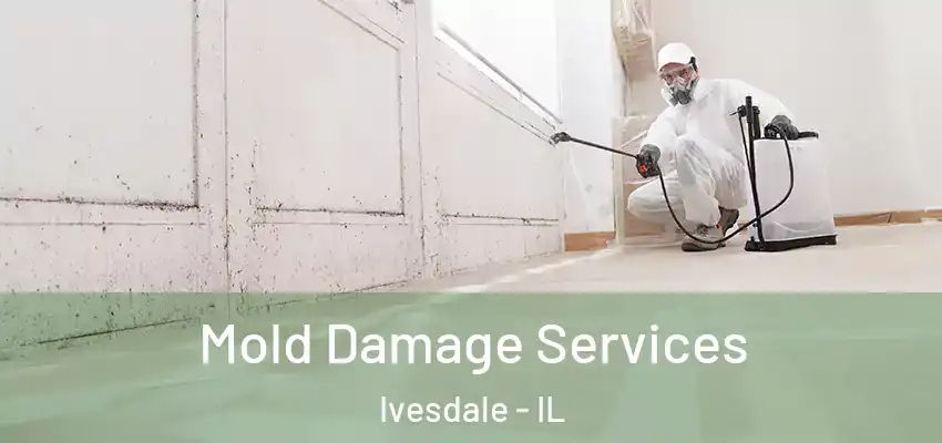  Mold Damage Services Ivesdale - IL