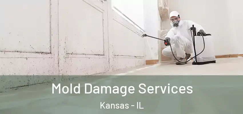  Mold Damage Services Kansas - IL