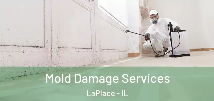  Mold Damage Services LaPlace - IL