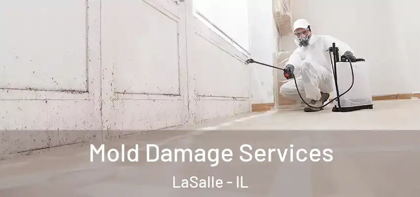 Mold Damage Services LaSalle - IL