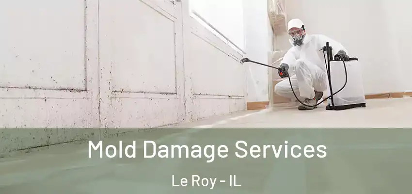  Mold Damage Services Le Roy - IL