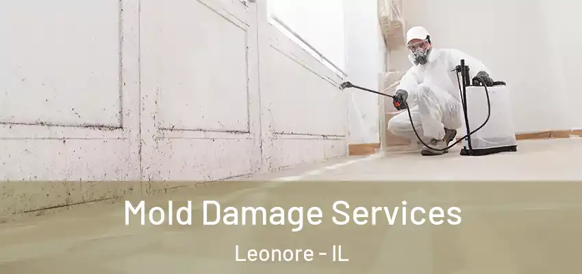  Mold Damage Services Leonore - IL