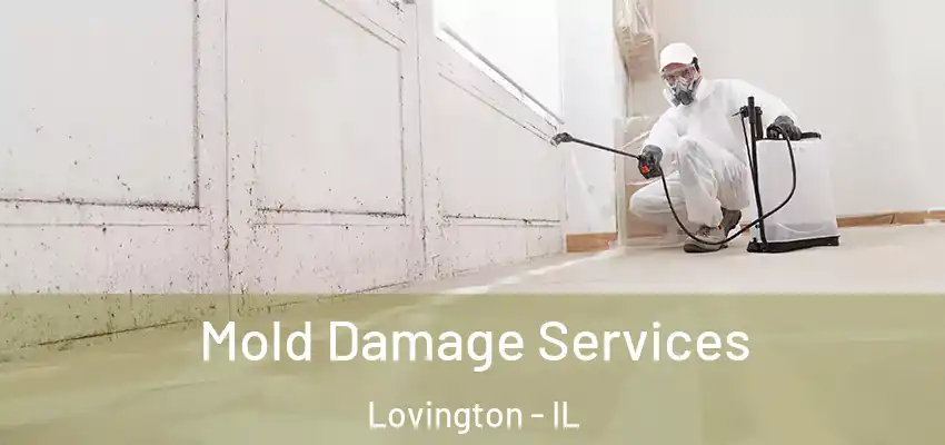  Mold Damage Services Lovington - IL