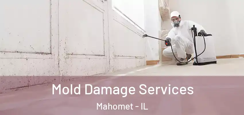  Mold Damage Services Mahomet - IL